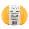 ICELAND 70420