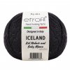 ICELAND 91191