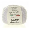 ICELAND 70027