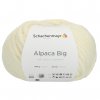 Alpaca Big 002