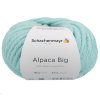 Alpaca Big 065