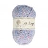 LÉTTLOPI 1702 1