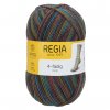 Regia 4ply color 1287