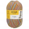 Regia 4ply color 1289
