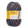 Regia 4ply color 2355