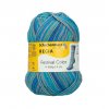 Regia 4ply color 2887