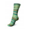 Regia 4ply color 3083