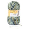 Regia 4ply color 4767