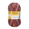 Regia 4ply color 4768