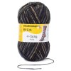 Regia 4ply color 7711