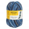 Regia 4ply color 1221