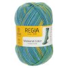 Regia 4ply color 1234