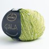 GALA 0251