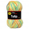 Tulip color 5604