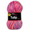 Tulip color 5601