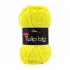Tulip Big 4312