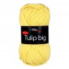 TULIP BIG 4186