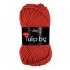 TULIP BIG 4238