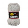 Tulip Big 4230