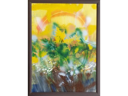 Branislav Kollárik - Záhrada