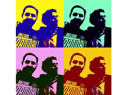 Branislav Kollárik - Honor Andy Warhol