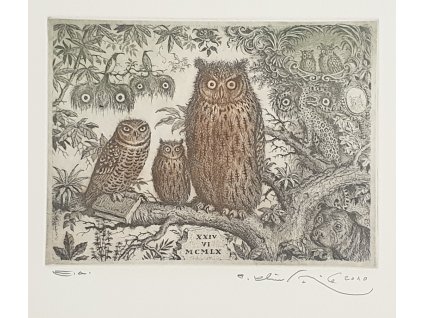 Peter Klúčik - Sovy