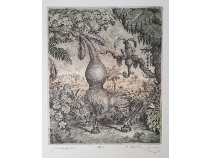 Peter Klúčik - Madagaskar