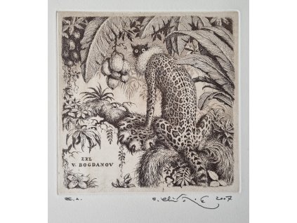 Peter Klúčik - ex libris V.Bogdanov