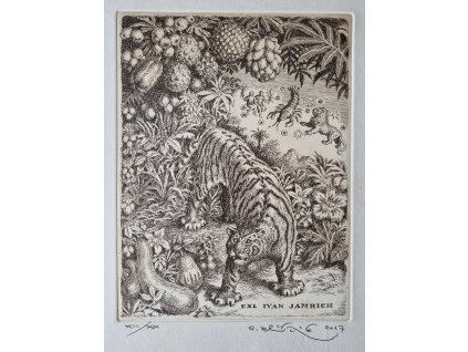 Peter Klúčik - ex libris Ivan Jamrich