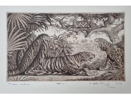 Peter Klúčik - V zemi šeliem