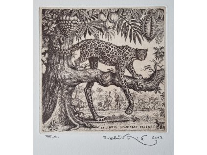 Peter Klúčik - ex libris Stanislav Mlýnek