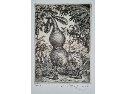 Peter Klúčik - Madagaskar (malý)