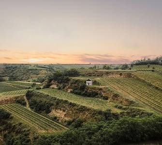Willy Bauer – rakouský mladý vinař roku