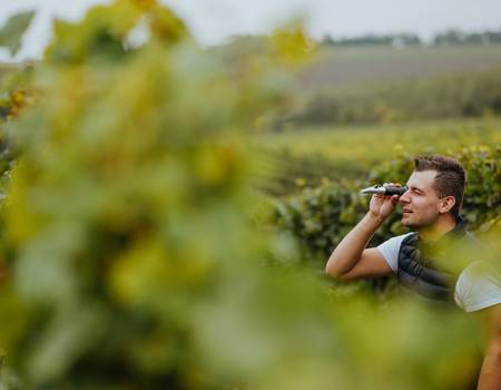 Představujeme : Vinařství Čapka