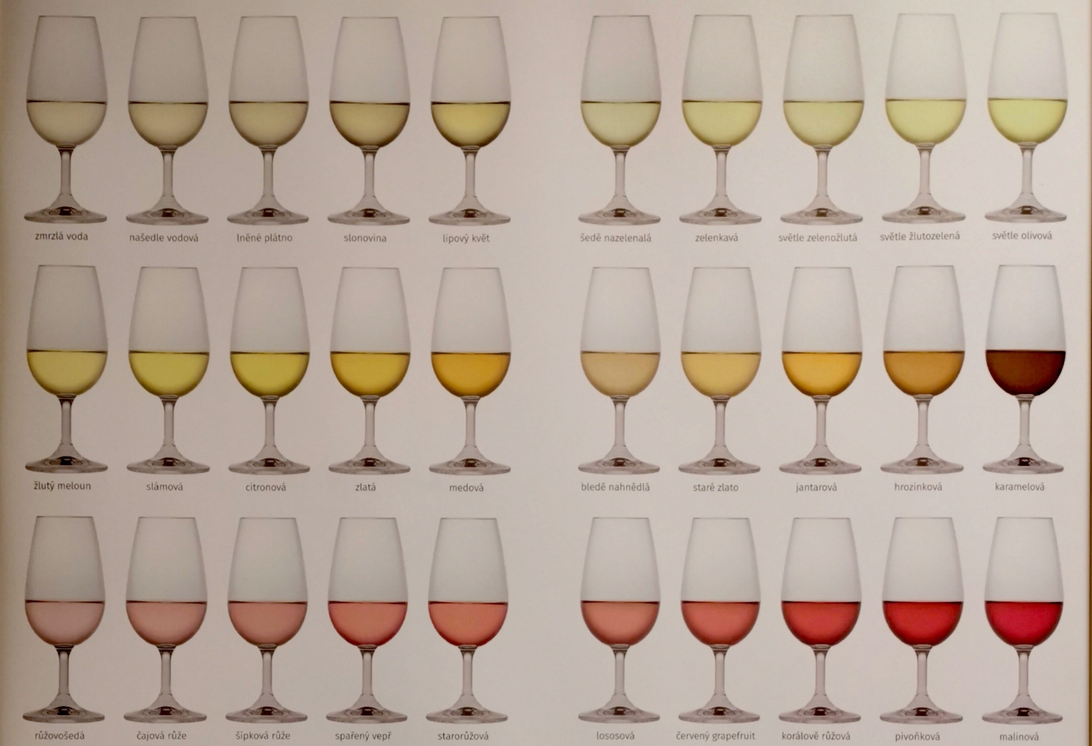 Degustace, ochutnávky, párování jídla a vína