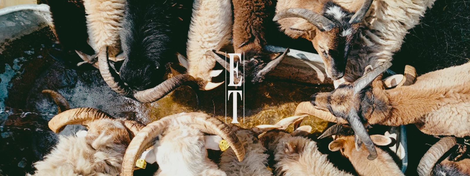 Dokonalé víno existuje!