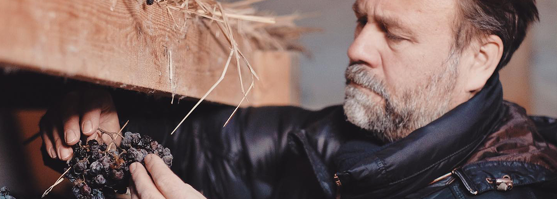 Náš vinař - Marcinčák