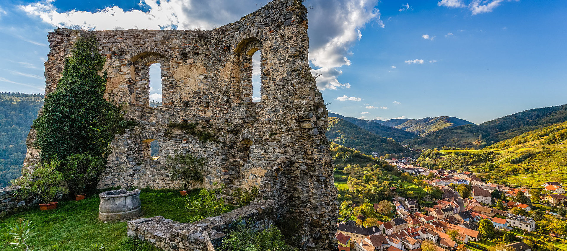 Proidl: Za úspěchem je zdravá dávka bláznovství