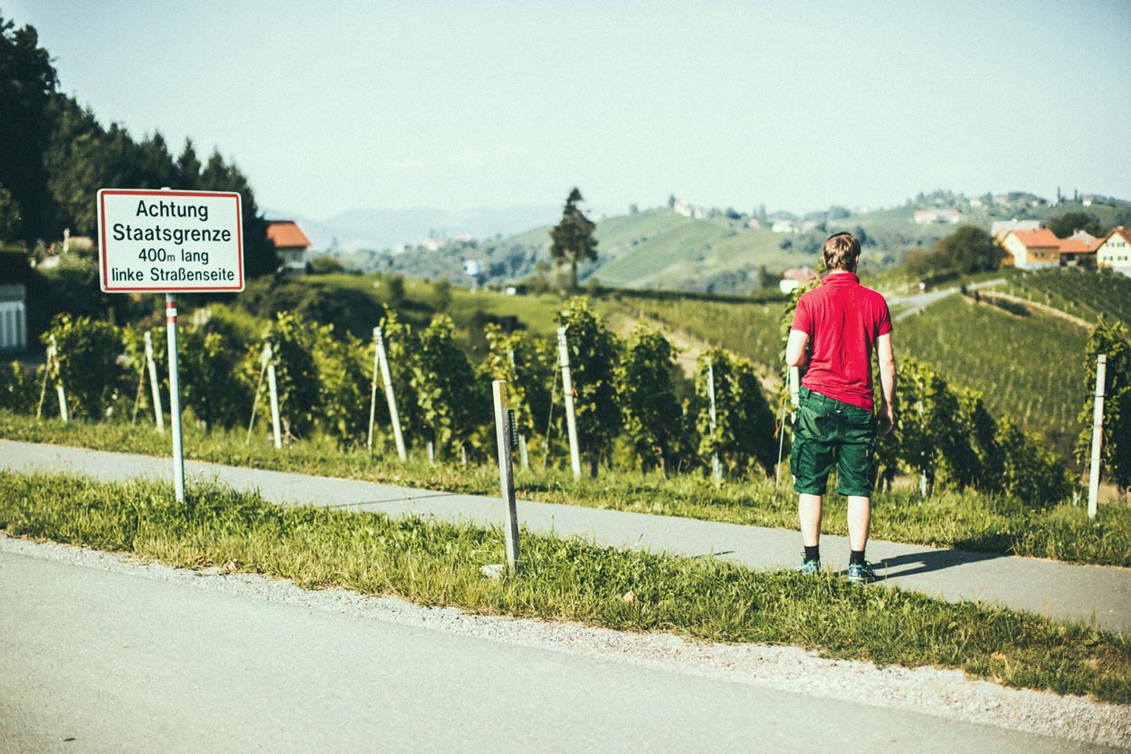 Vinařství Gross: Za vším je tvrdá práce