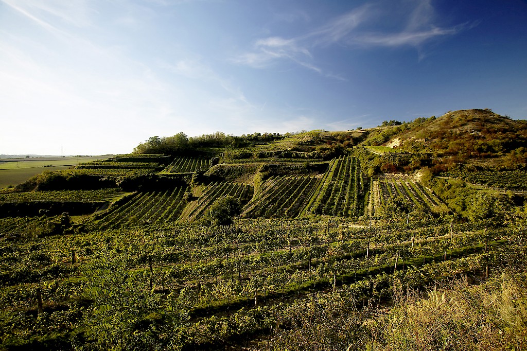 334600571_961401355225731_851793435425350816_n