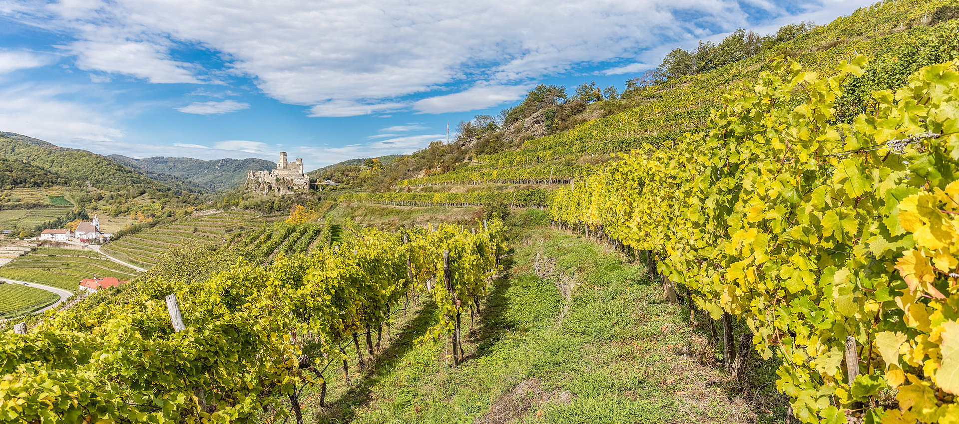 334635151_8863184717089488_6879157733074588476_n