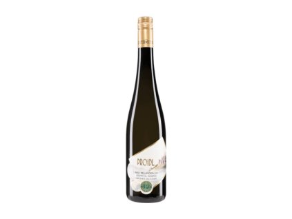 Ried Pellingen Grün Veltliner 2021 DAC