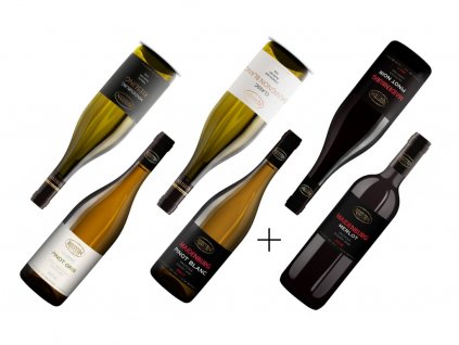 Vinařství roku 2021  Vinařství Reisten