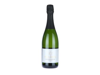 Sekt Blanc de Blancs 2020, extra brut  Oulehla