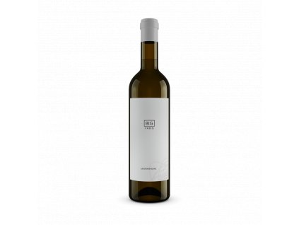 png s big sauvignon blanc