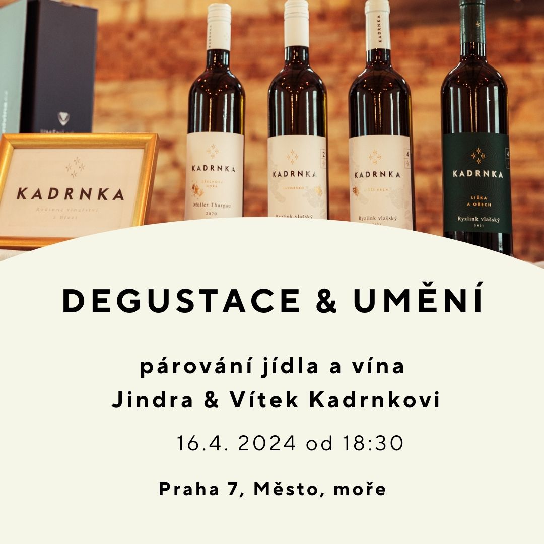 Umění vína Degustace & Umění - párování jídla a vína