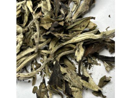 Yue Guang Bai