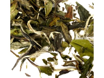 dc8e4a21 9828 41ae b056 bf58f090356d lrg