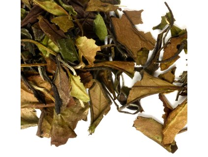 58a92fd1 64f8 4b75 8288 9df4f30793a8 lrg