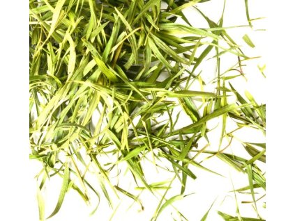 6b877d64 d80e 4c74 b81a ce94f2c9ecde lrg